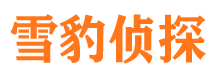 景东市侦探调查公司